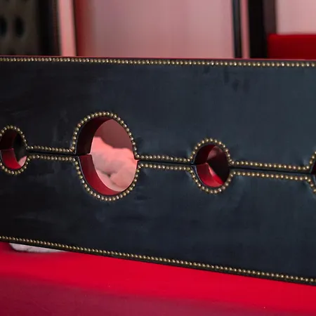 Luxury Bdsm Guest house *